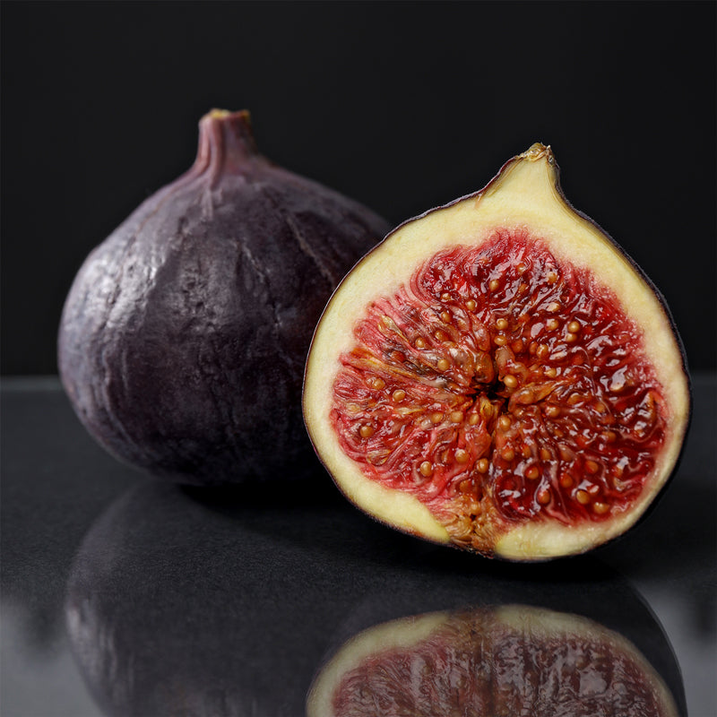 Fig Tree "Black Mission" Set of 4 starter live plants