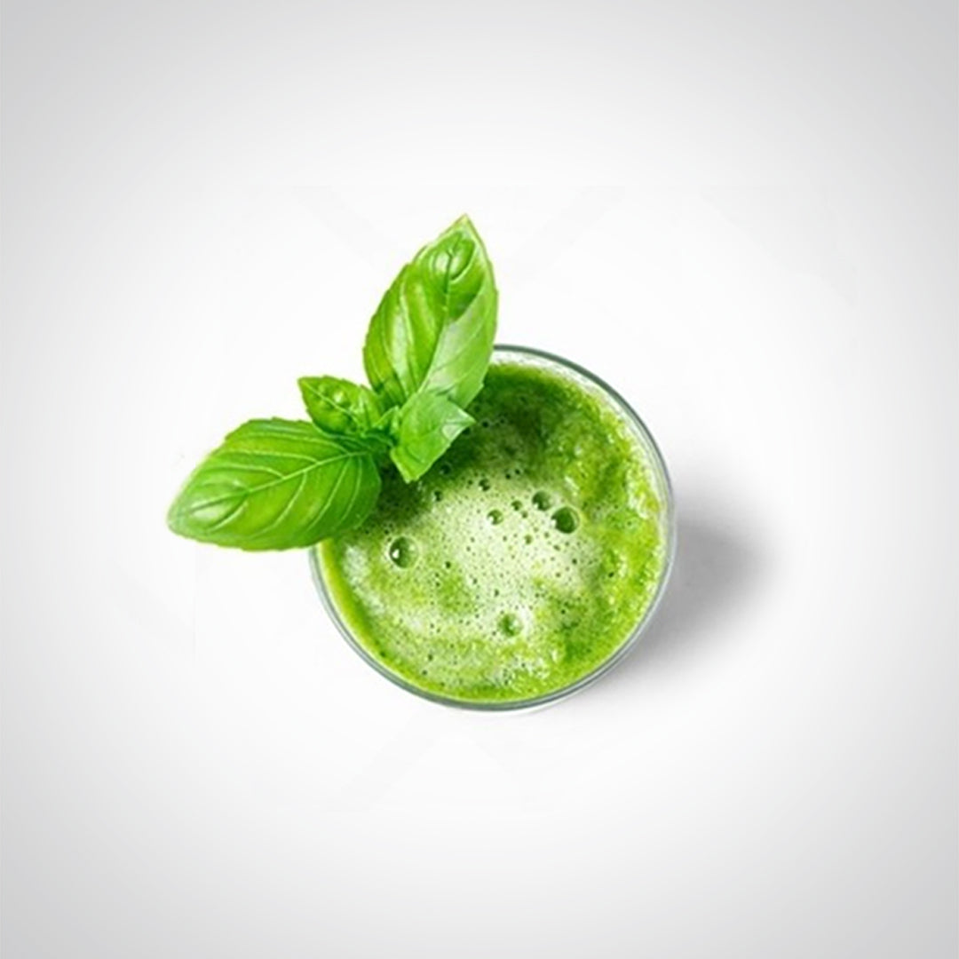 Longevity Spinach Plant (4 Pack) | Real Live Vegetable Plant for Sale | Nutrient-Rich Superfood | Easy to Grow Live Plant for Home Gardens, Organic Landscaping, and Indoor or Outdoor Planting