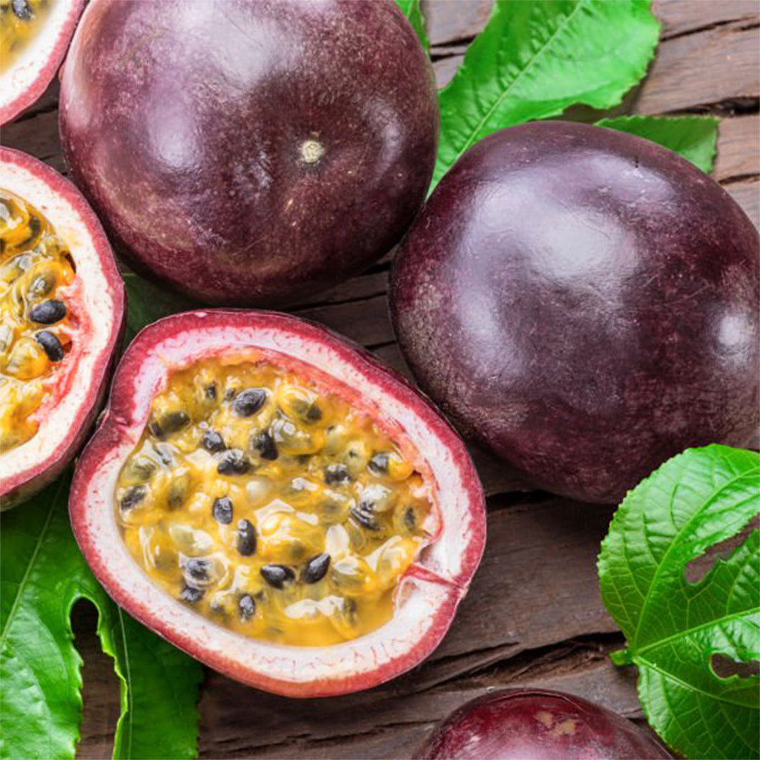Passion Fruit (Maracuya) "Possum Purple" Set of 4 starter live plants.