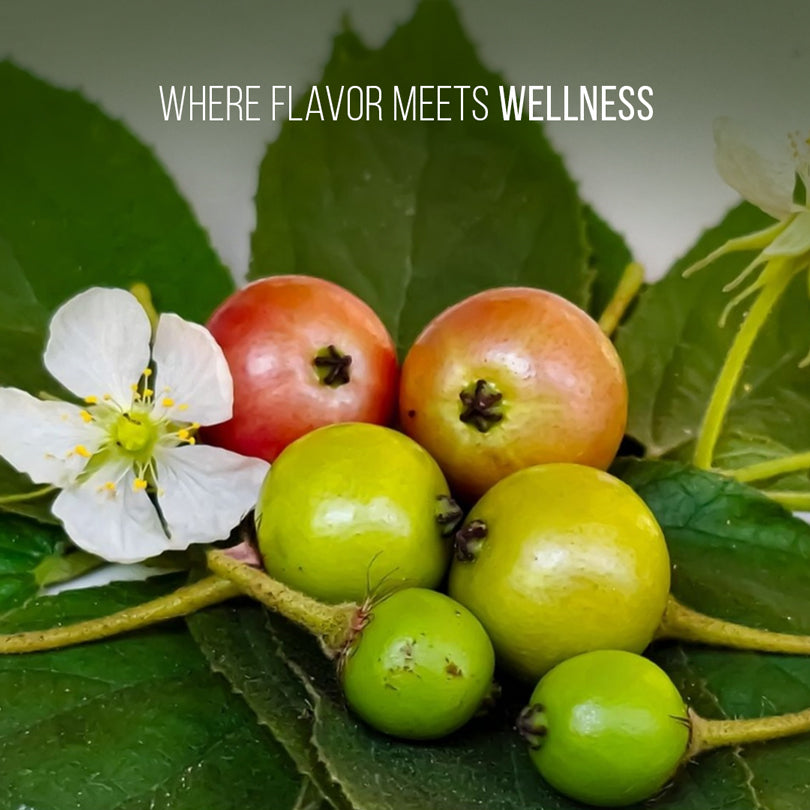 Jamaican Cherry Tree (4 Pack) Strawberry Tree | Live Plant for Sale | Easy to Grow Plants | Edible Fruit Plant for Sustainable Living | Grow Your Food on Your Edible Organic Garden