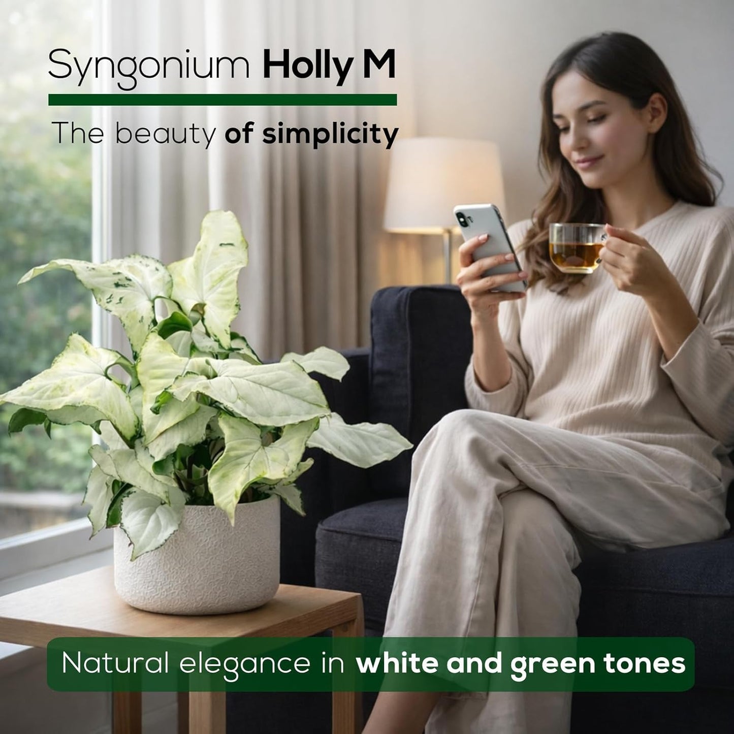 Syngonium Holly M (4 Pack) Live Starter Plants, Variegated Arrowhead Vine Houseplants, Easy Care Indoor Tropical Plants Live, Decorative Foliage Plants