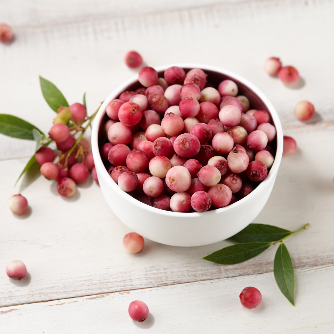 Blueberry "Pink Lemonade". Set of 4 starter live plants