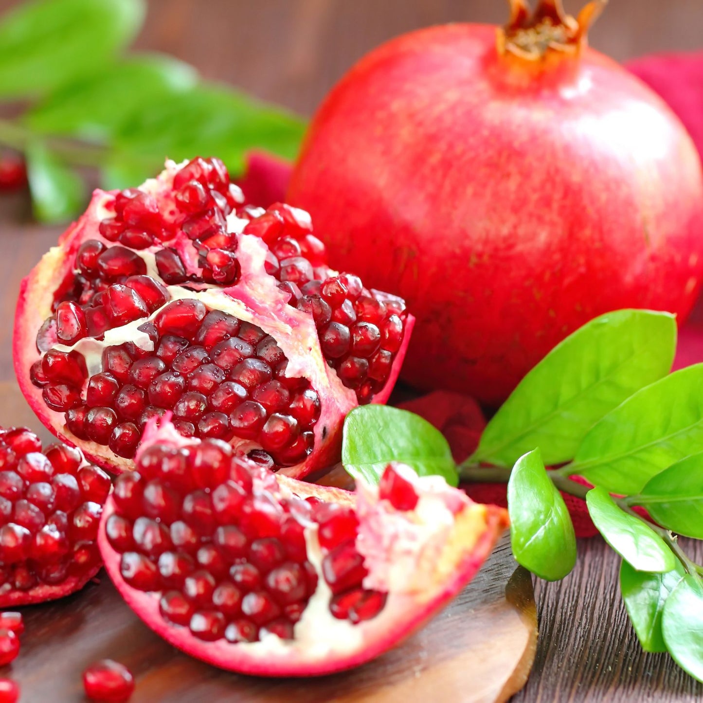 Pomegranate "Wonderful" Set of 4 Starter Plants