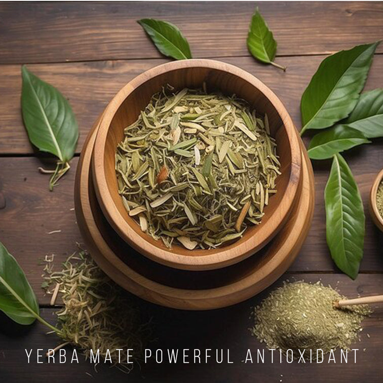 Yerba Mate Tea Plant (4 Pack) | Real Live Plant for Sale | Perfect for Tea Lovers | Hardy and Easy to Grow for Planting | Grow Organic Tea Leaves at Home | Great for Indoor or Outdoor Gardens